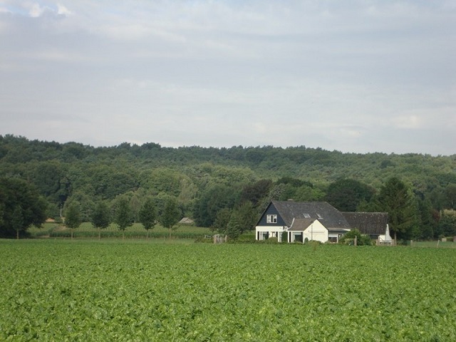 vakantiehuis 16 personen